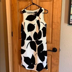 NWT Ann Taylor Sleeveless Black &White Dress